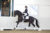 9. GribaldiXMichelangelo-5