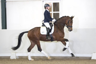 KAVIRA 40. FranklinXSorento-10