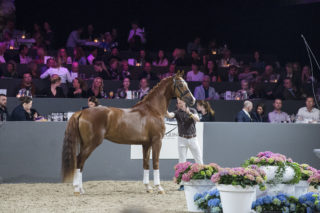 EDS11 2019