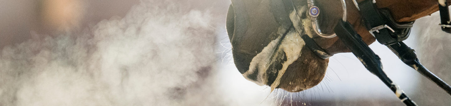 Header wildcards 2019