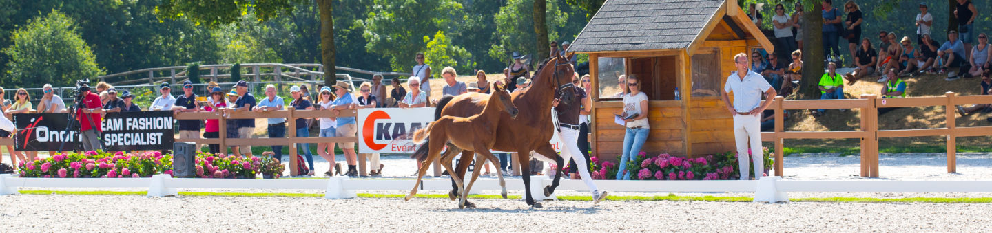 Prinsenstad veiling 2018