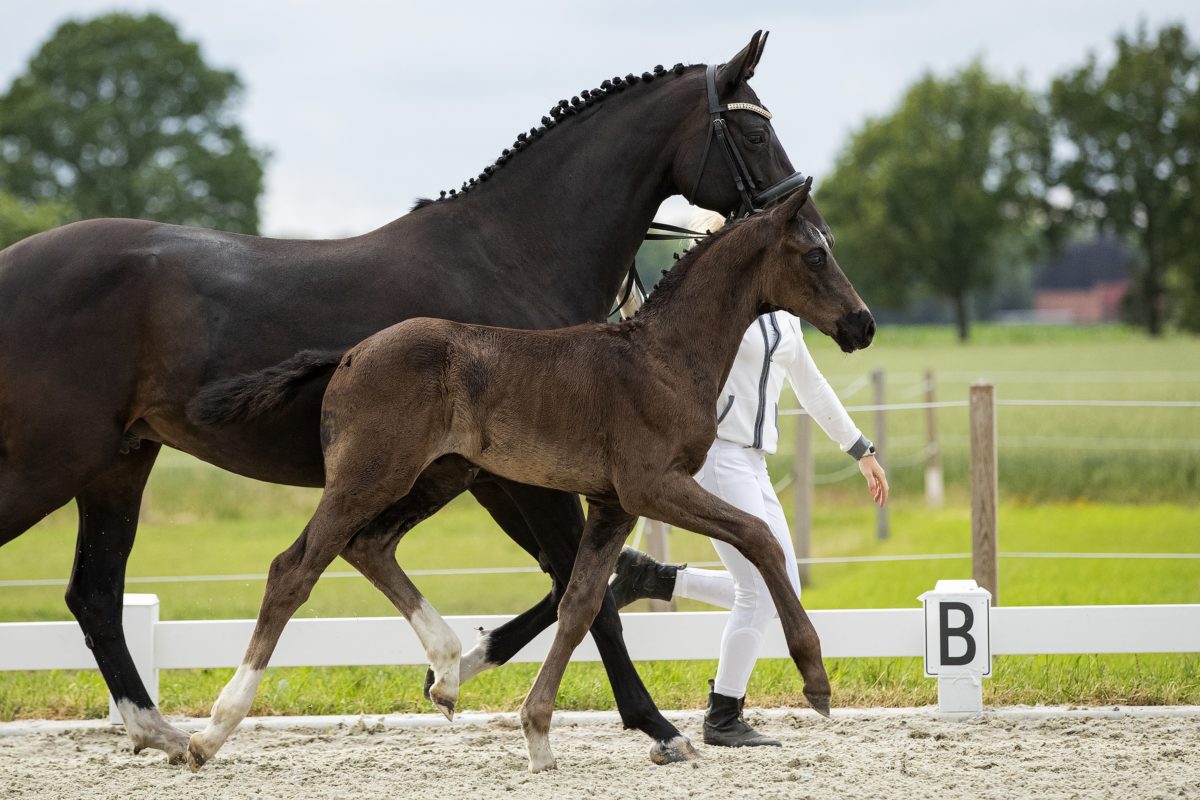 For Romane (For Romance I X Christ )02 small