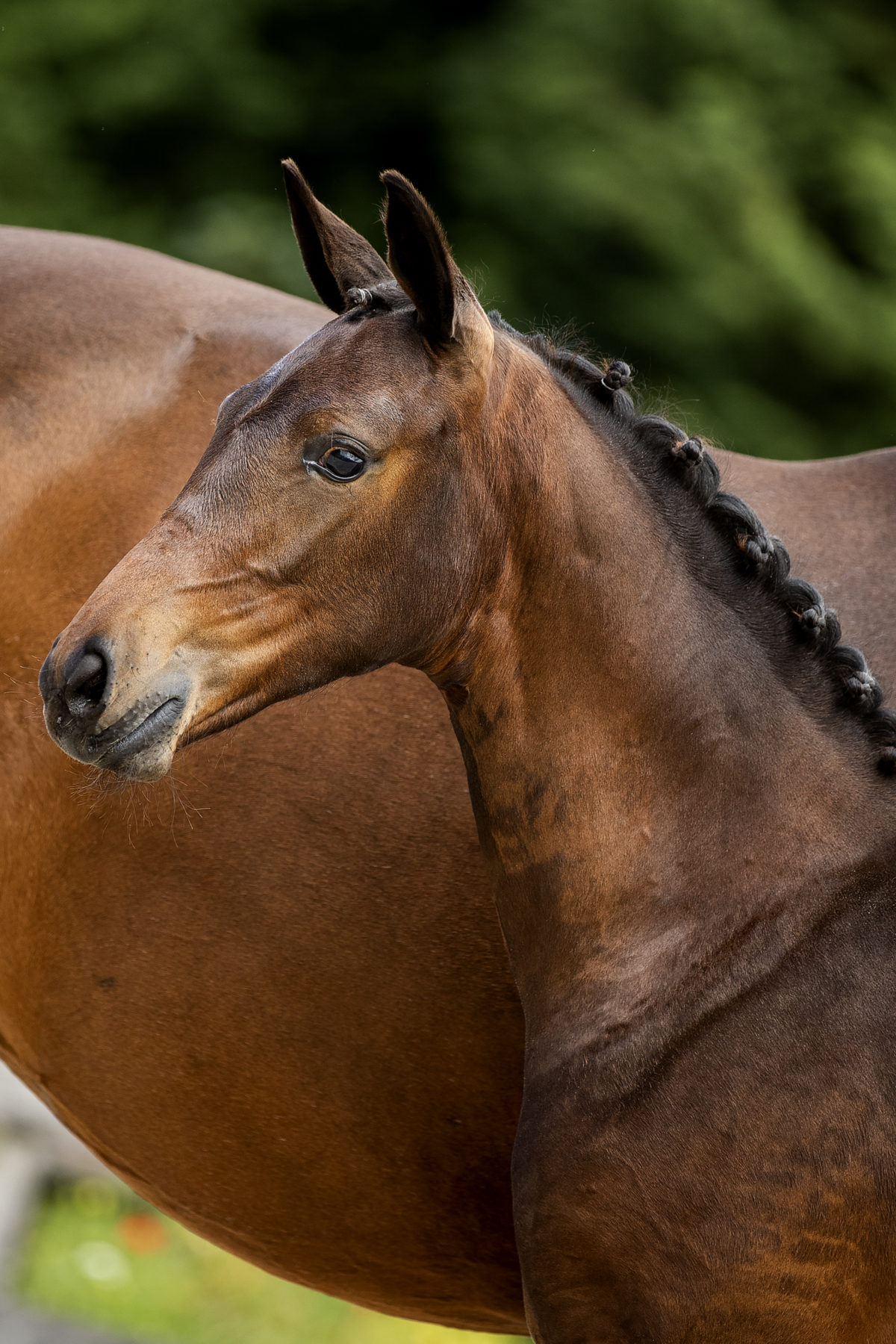 Osaka(westpoint X _)01