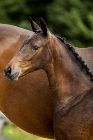 Osaka(westpoint X _)01