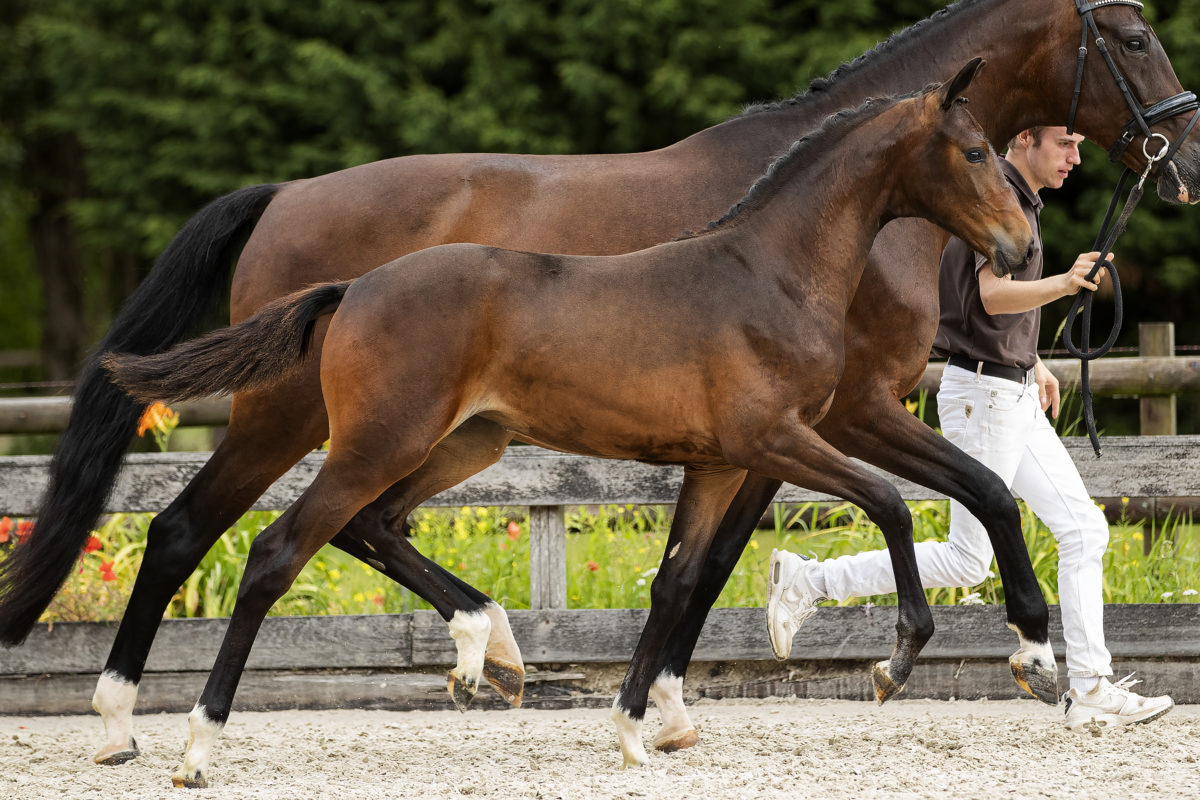 Osaka_(westpoint X _)02