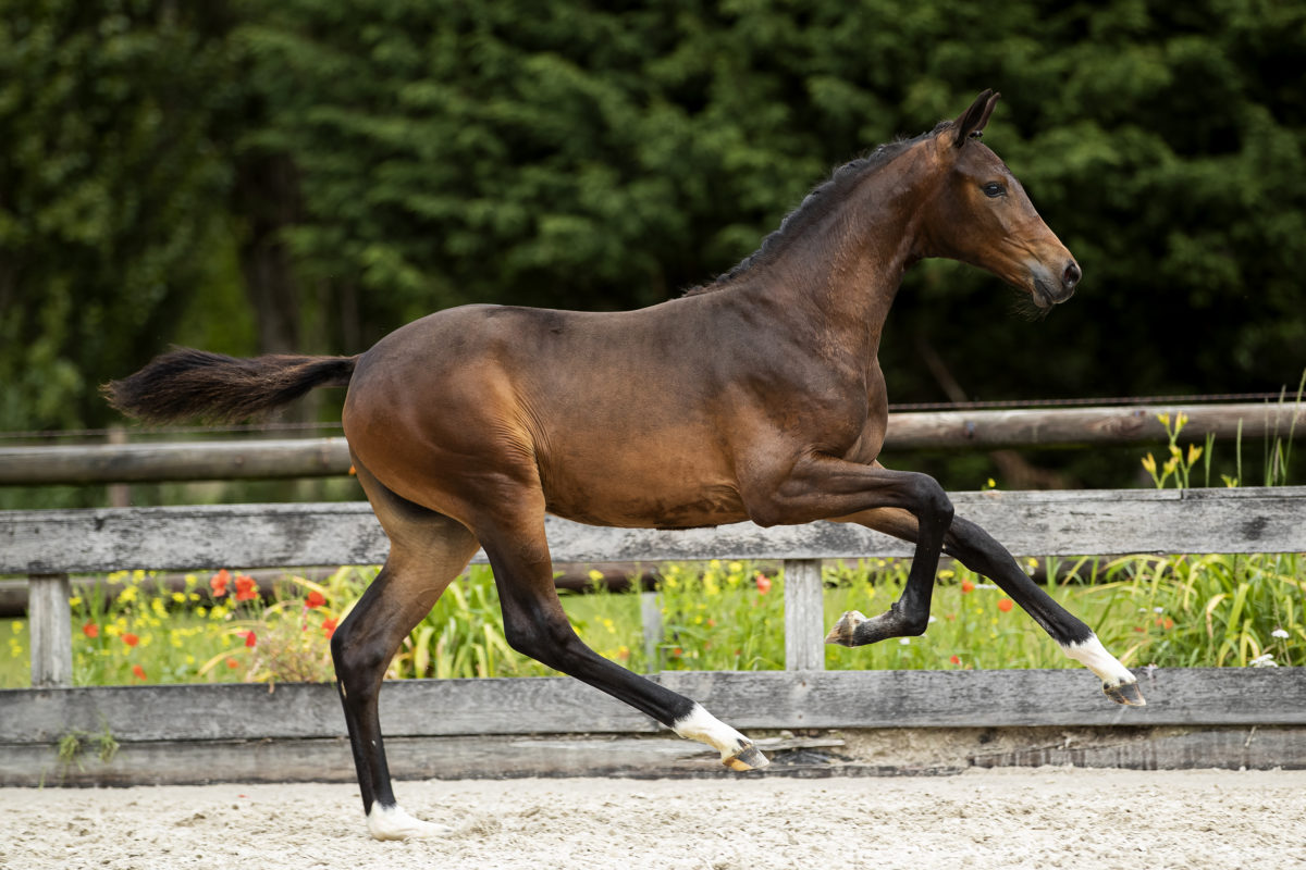 Osaka_(westpoint X _)03