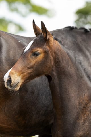 Odessa J.C_( DeparonUS X Dreamboy)01 small