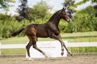 Odessa J.C_( DeparonUS X Dreamboy)03 small