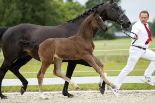 Odinosa_(Daily Diamond X Special D )03 small