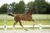 O’easter_(Just Wimphof X Rousseau )03 small