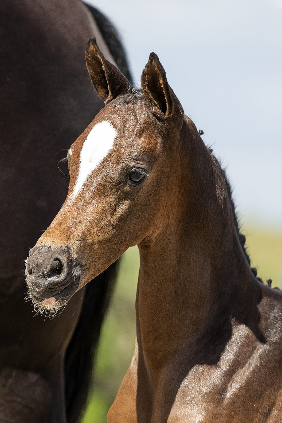 O’gromathika M_(In Style X Andrettie)01