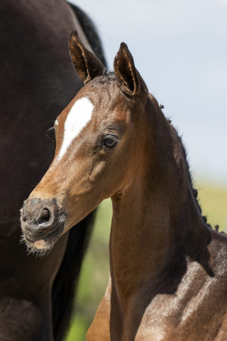 O’gromathika M_(In Style X Andrettie)01