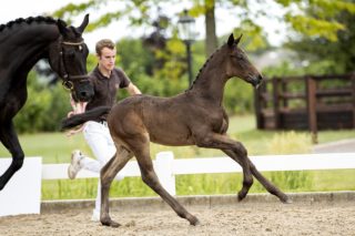 Ohlala_(Just Wimphof X Furst Heinrich)03 small