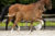 Ollright TC_( First JAzz X Sir Sinclair)02