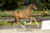 Ollright TC_( First JAzz X Sir Sinclair)03