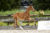 Olympia TC_(Joop TC X Gouverneur)03