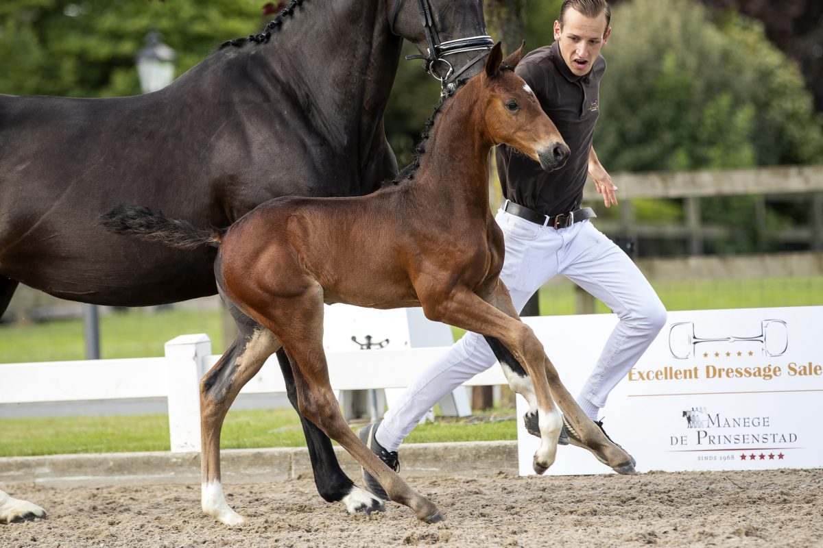 OnlyD_( Just wimphof X Jazz)03 small