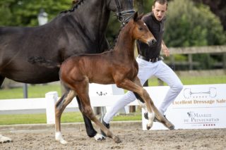 OnlyD_( Just wimphof X Jazz)03 small