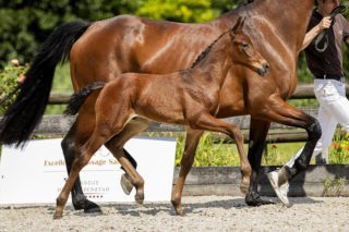 Ontario TC_(Joop TC X Dreamboy)02