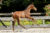 Ontario TC_(Joop TC X Dreamboy)03