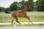 Ontario_(For Ferrero X Krack C)03 small