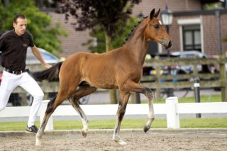 Orfeo_(For Ferrero X Spielberg)02 small