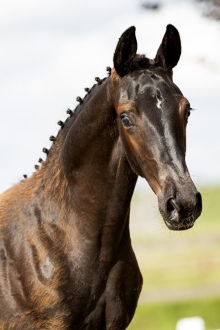 Outsider_(Desperado X OOseven)01 small