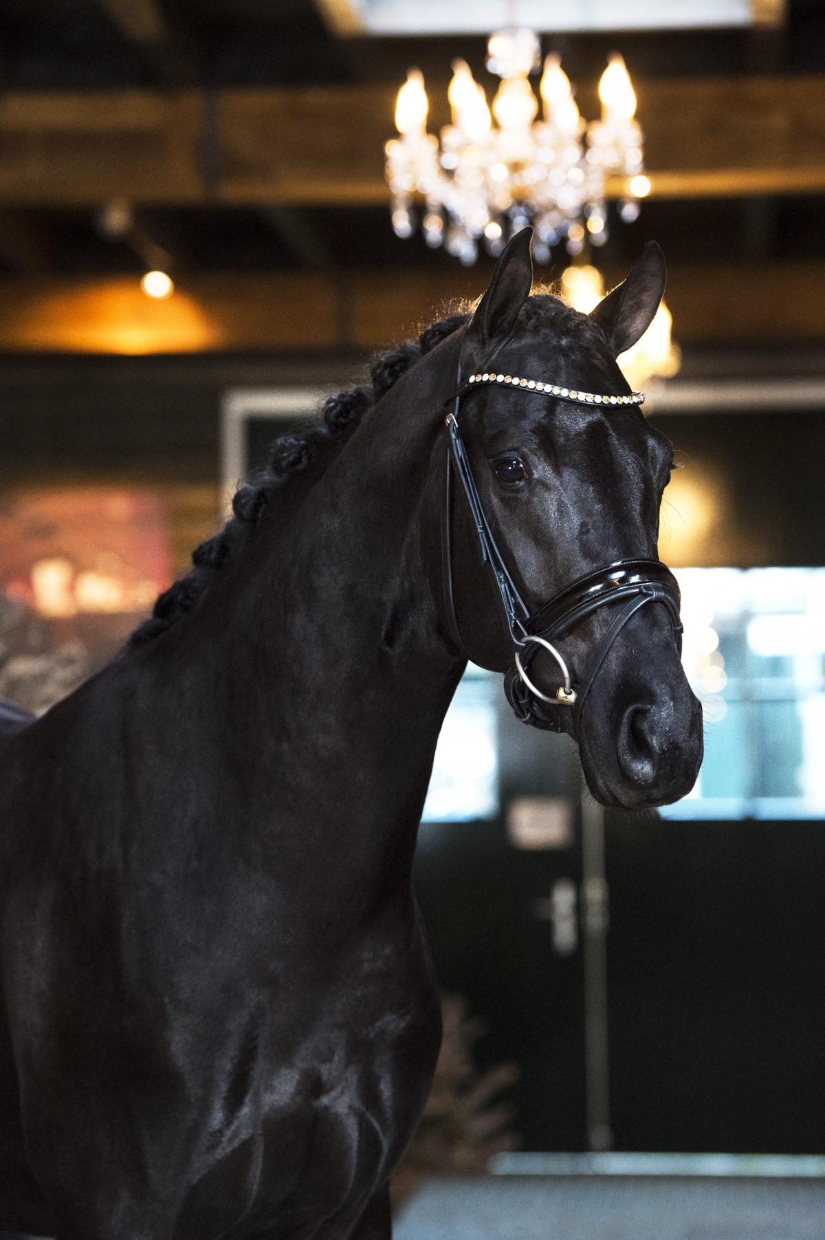 1.Moneymaker-DailydaimondxUphill-1