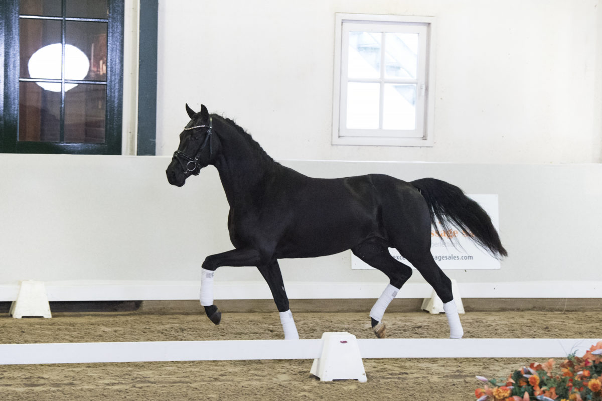 1.Moneymaker-DailydaimondxUphill-2