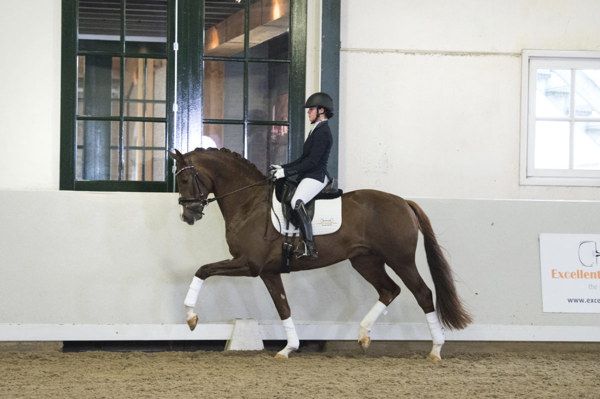 10. Knockout-Ebony-4