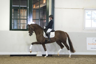 10. Knockout-Ebony-4