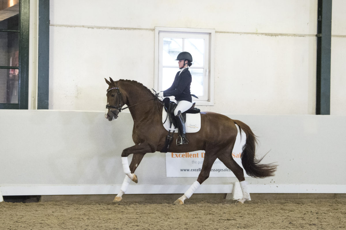 10. Knockout-Ebony-5