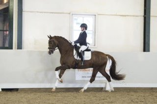 10. Knockout-Ebony-5