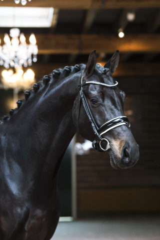 10. Lucky-ForgribaldixFlemmingh-1