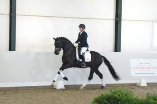 10. Lucky-ForgribaldixFlemmingh-11