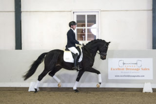 10. Lucky-ForgribaldixFlemmingh-3