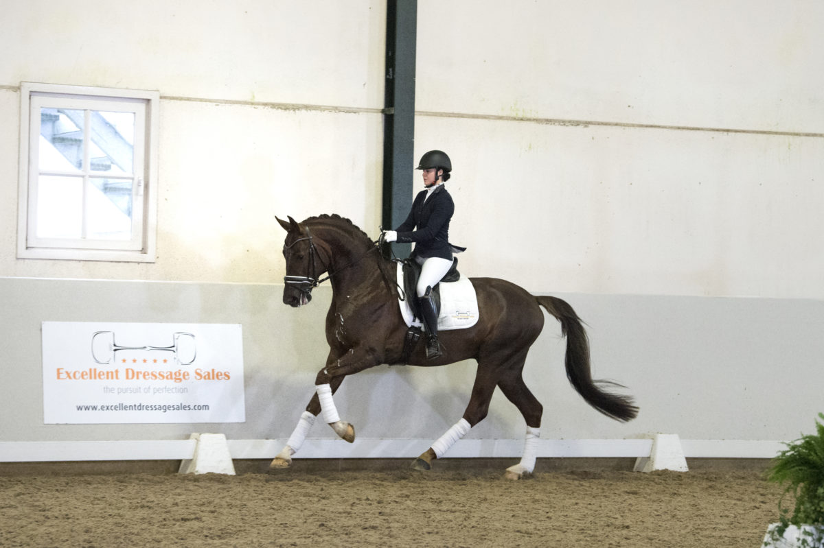 11. Fascinize-Forromance-11