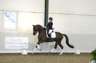 11. Fascinize-Forromance-11