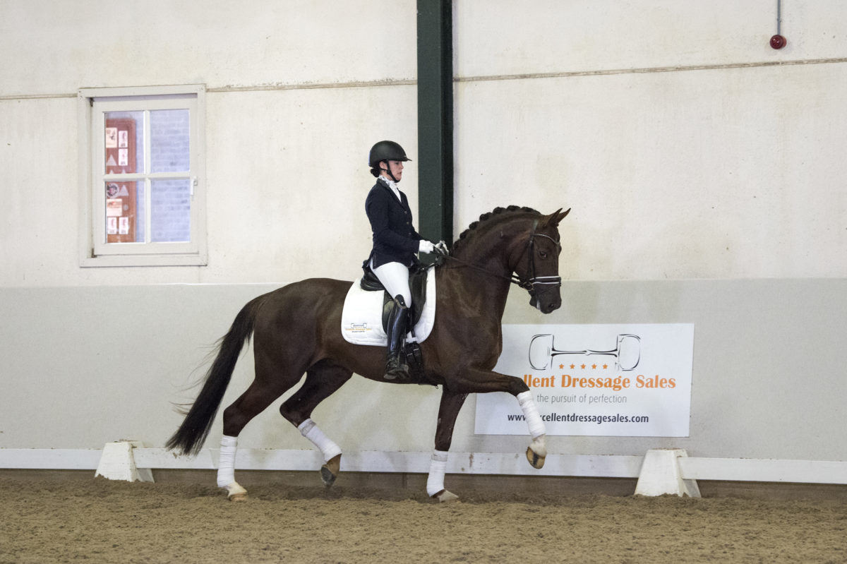 11. Fascinize-Forromance-2