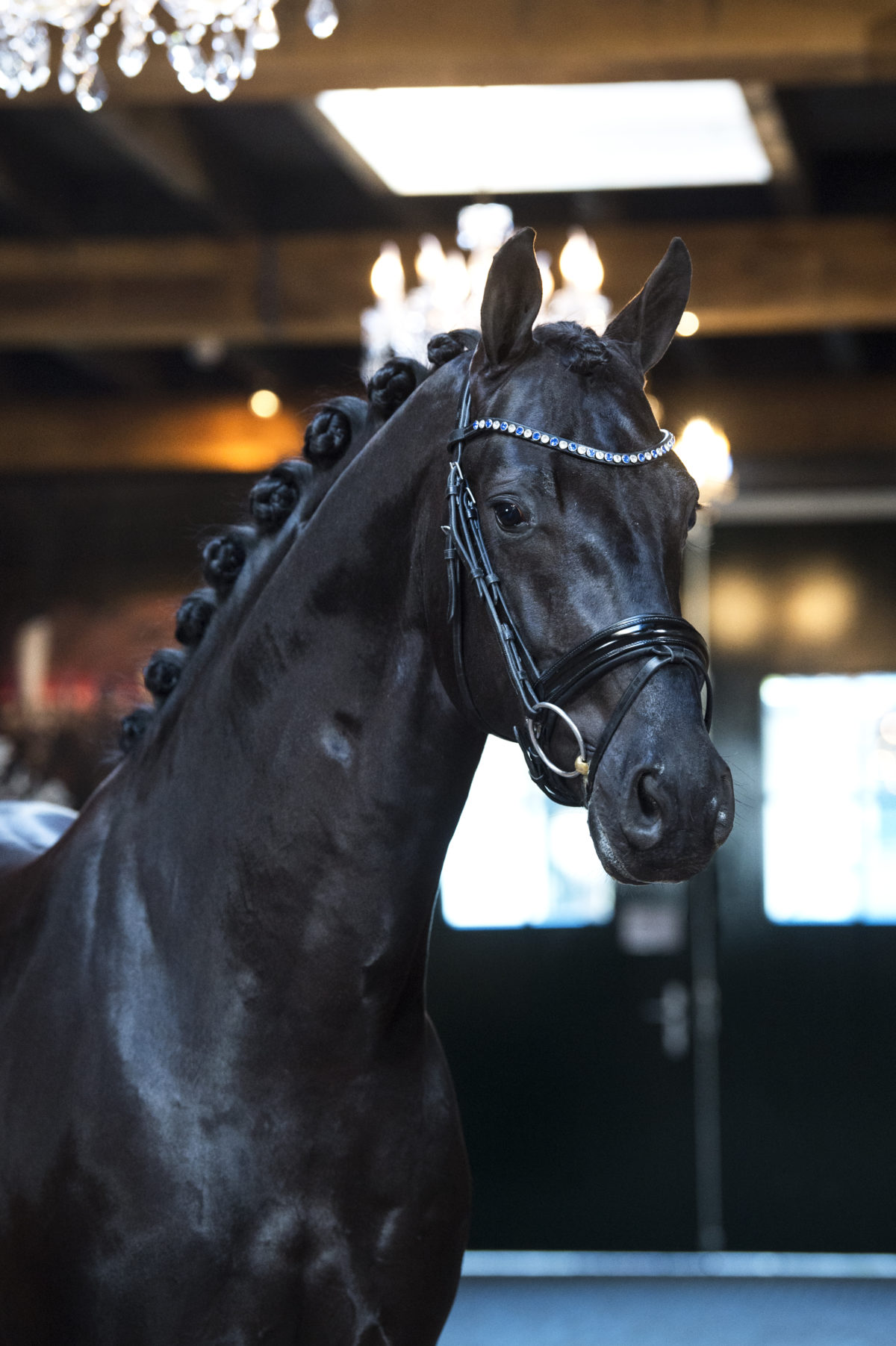 12. Macaron-Morricone-1