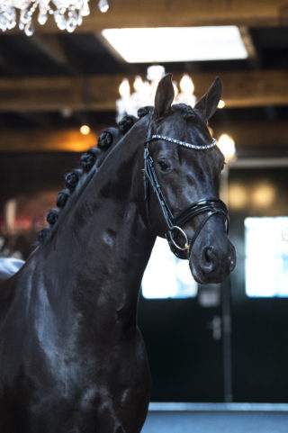 12. Macaron-Morricone-1