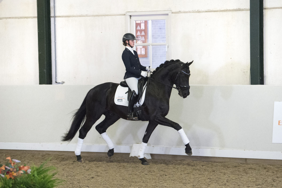 12. Macaron-Morricone-3