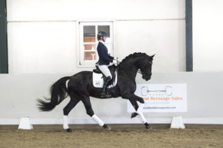 12. Macaron-Morricone-5