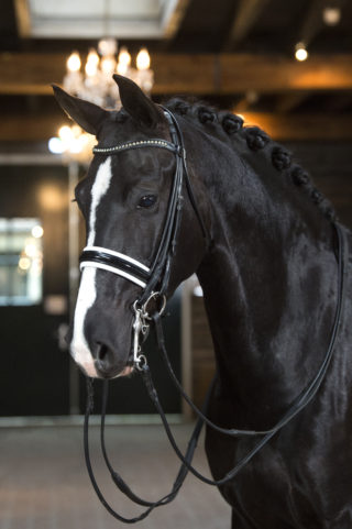 13. IvitaFille-NegroxSandrohit-1