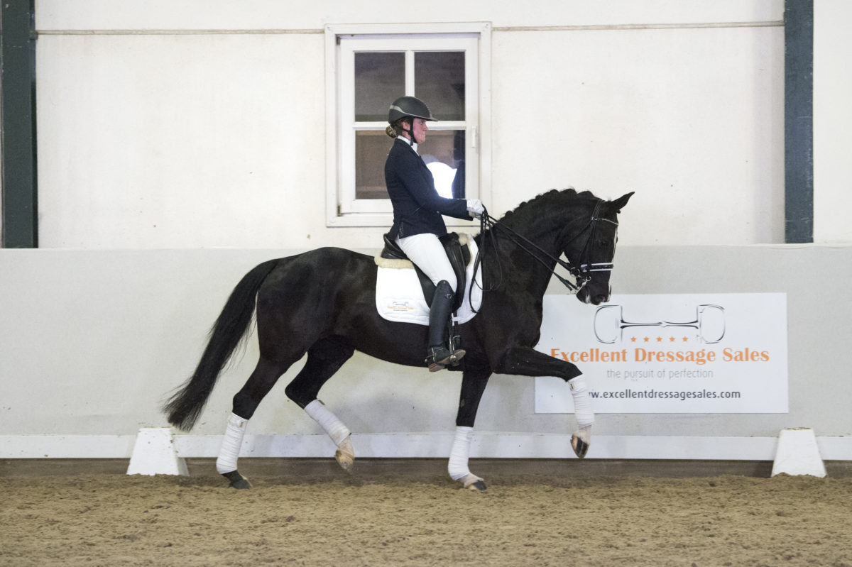 13. IvitaFille-NegroxSandrohit-5