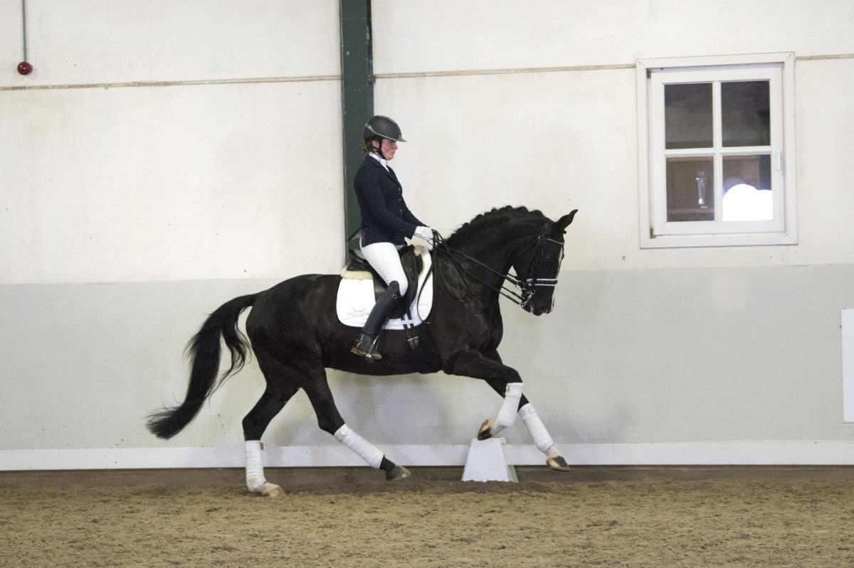 13. IvitaFille-NegroxSandrohit-9