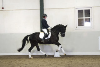 13. IvitaFille-NegroxSandrohit-9