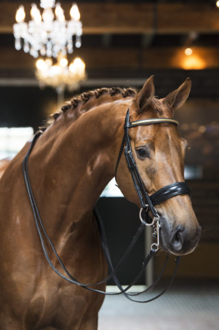 14. Grimeur-CharmeurxGribaldi-1