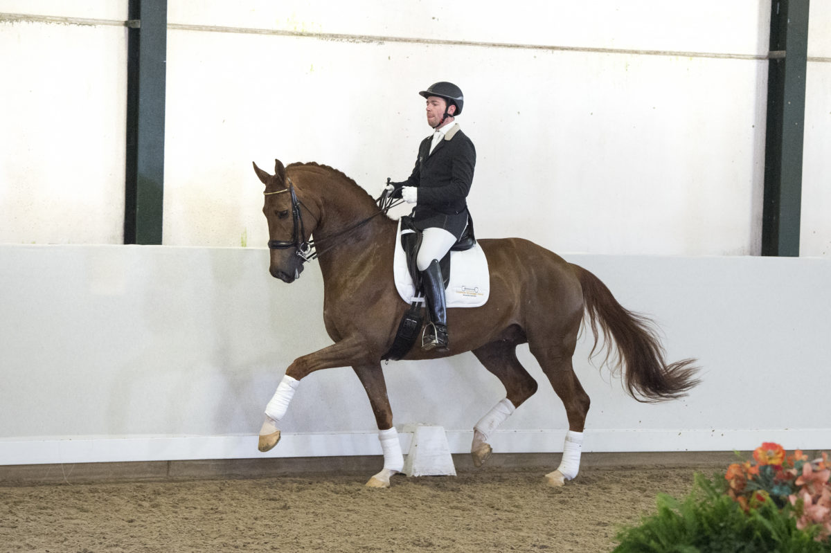 14. Grimeur-CharmeurxGribaldi-3