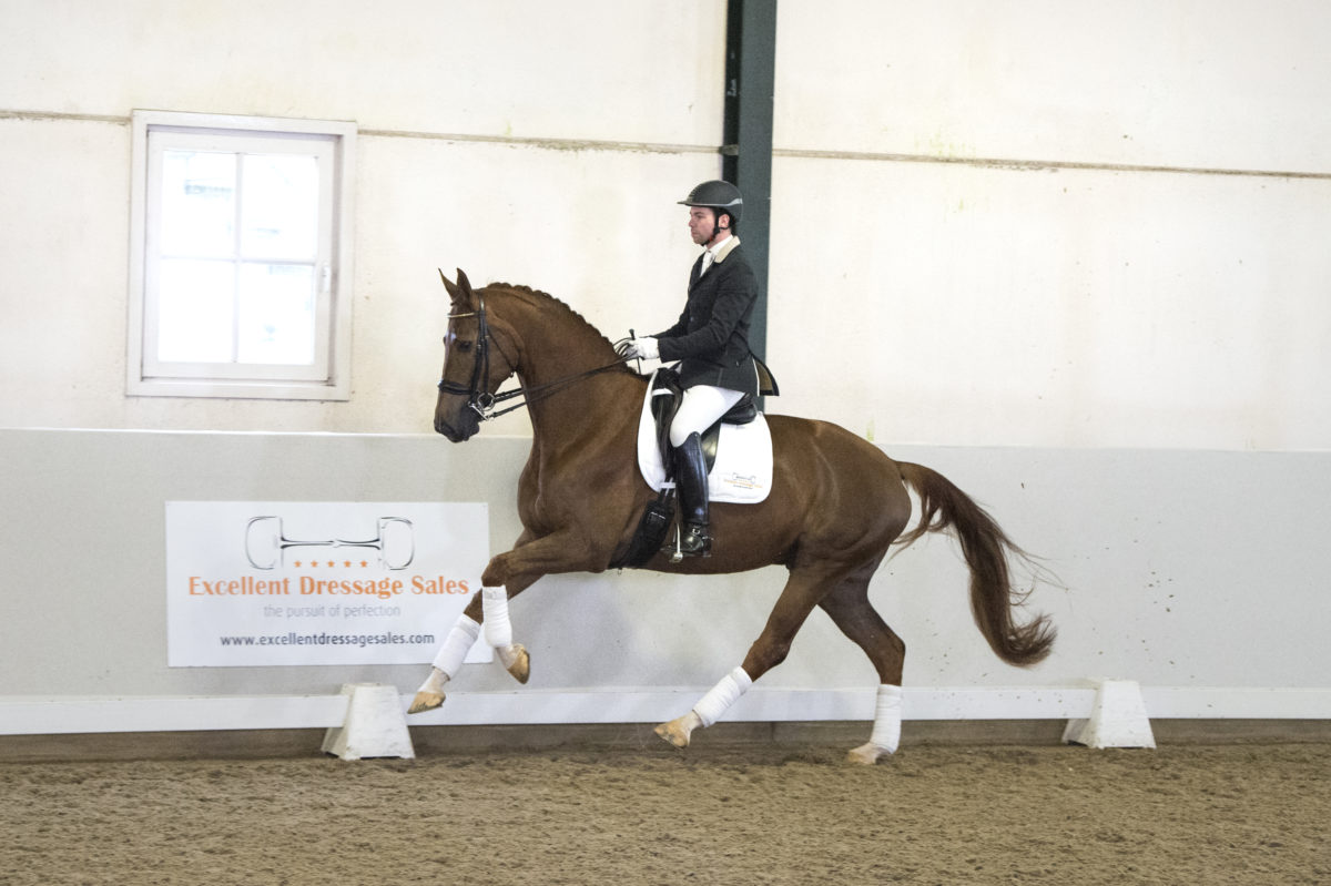 14. Grimeur-CharmeurxGribaldi-7